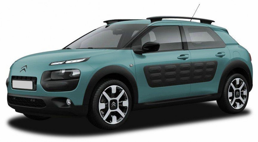 C4 Cactus