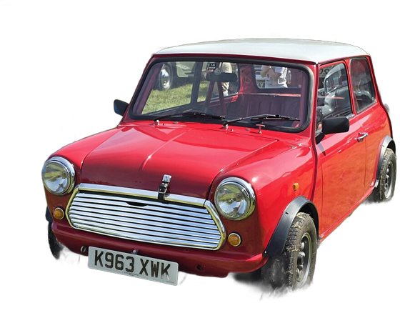 Rover Mini