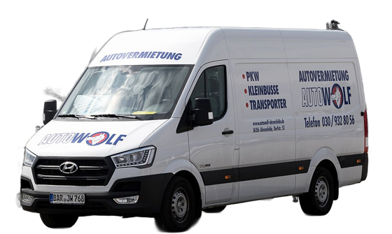 HYUNDAI H350