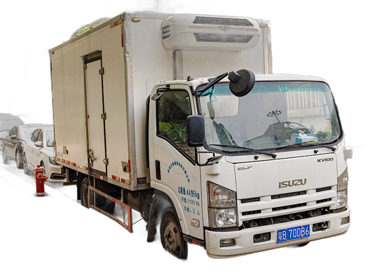 ISUZU N Series