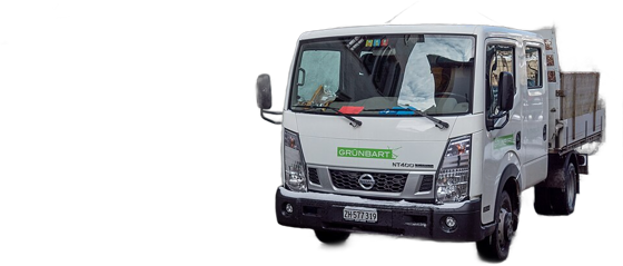 NT400 Cabstar