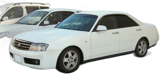 Gloria Y34