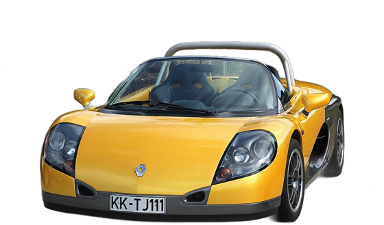 SPORT SPIDER
