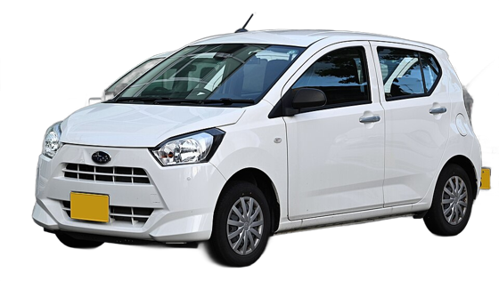 Subaru Pleo