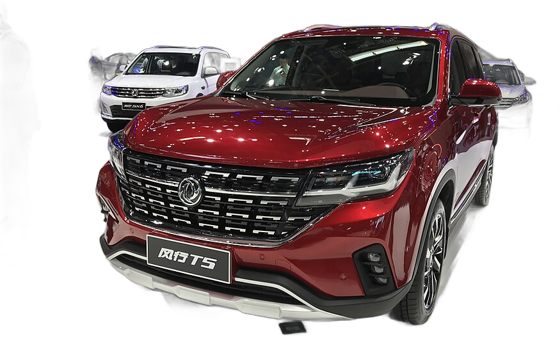 T5
