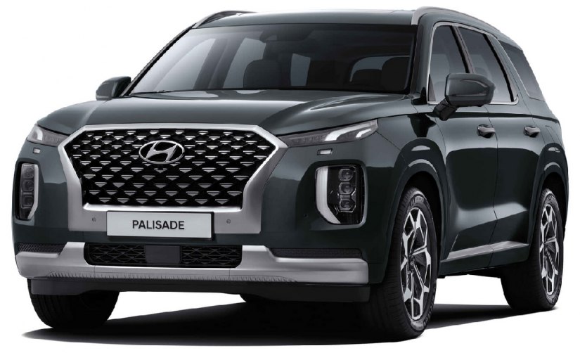 Palisade
